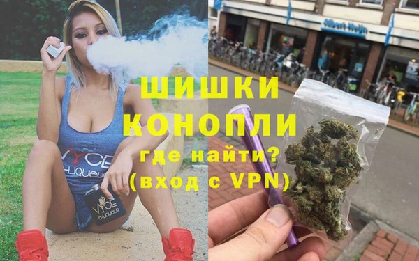 дживик Нестеровская