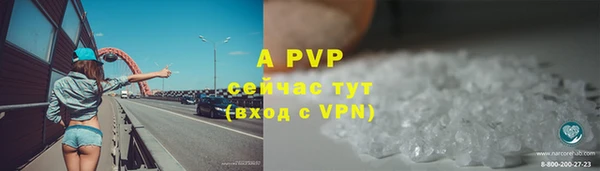 стафф Новокубанск