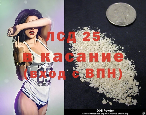 стафф Новокубанск